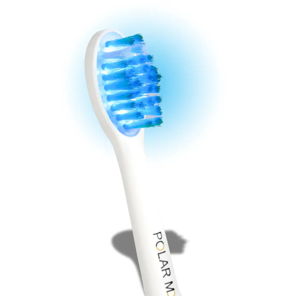 Polar MD Replacement Toothbrush Head